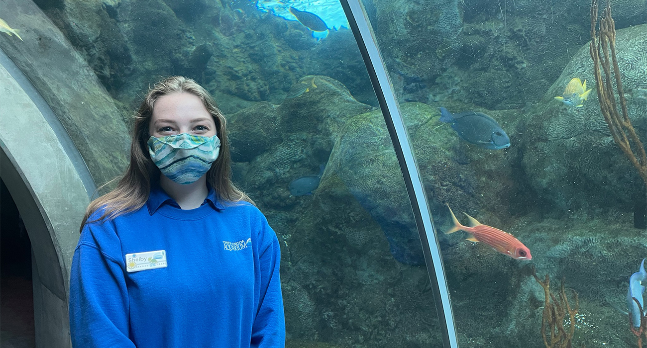 Human Resources Internship The Florida Aquarium