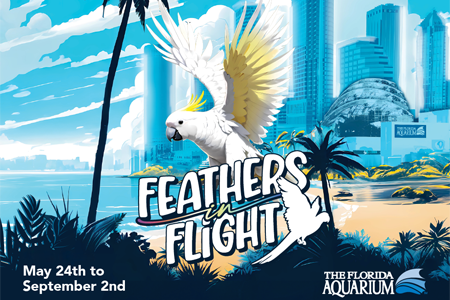 illustration of downtown with white and yellow cockatoo, text reads Feathers in Flight May 24 to September 2, The Florida Aquarium