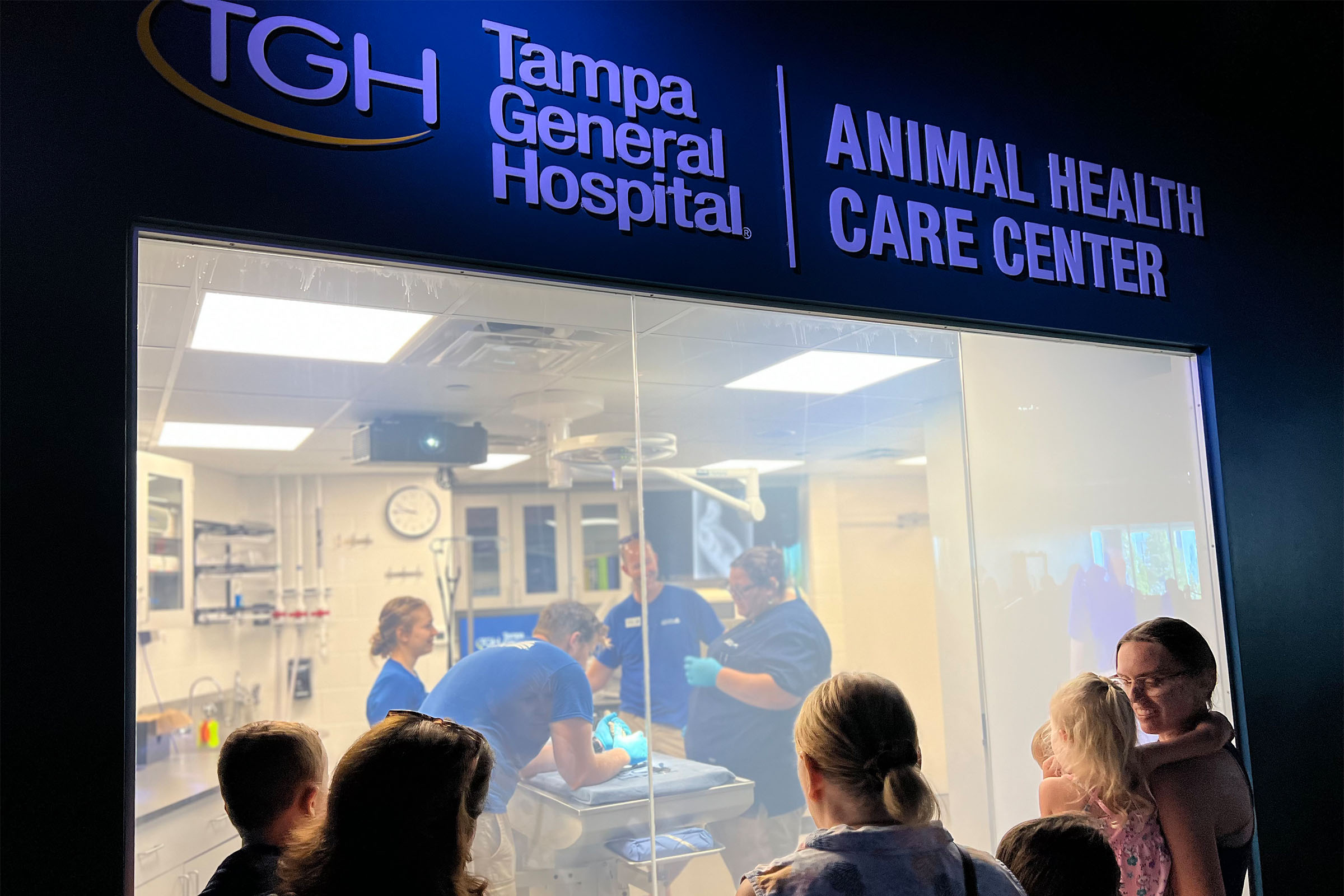 guests watching vets at The Florida Aquarium give an exam to an animal in the Tampa General Hospital Animal Health Care Center