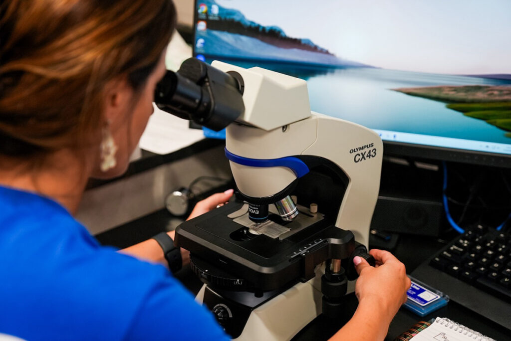 female employee looking through microscope