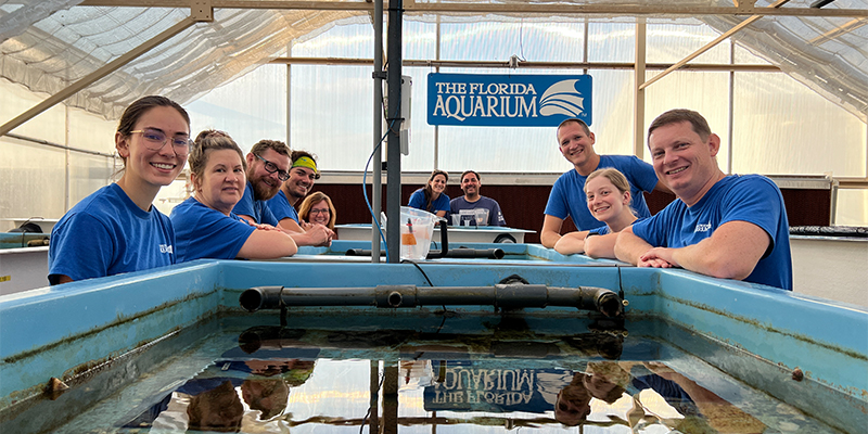 The Florida Aquarium coral team in the coral greenhouse