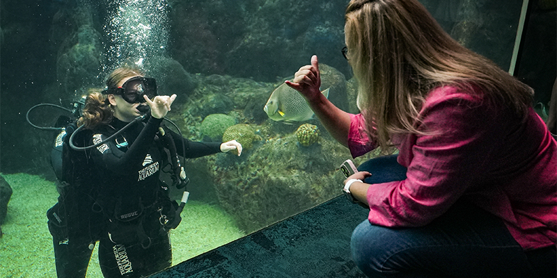 Young SCUBA diver waving at woman during dive