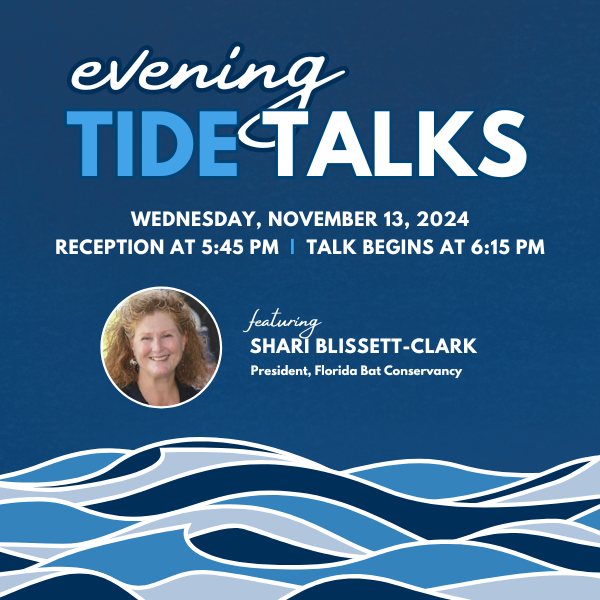 Evening Tide Talks presented by The Florida Aquarium November 13, 2024 featuring Shari Blissett-Clark, President, Florida Bat Conservancy