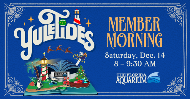 The Florida Aquarium Exclusive YuleTides Member Morning Event Saturday December 14 2024