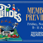 The Florida Aquarium Exclusive YuleTides Member Preview Event Friday November 29 2024