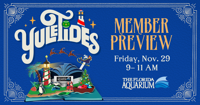 The Florida Aquarium Exclusive YuleTides Member Preview Event Friday November 29 2024