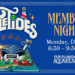 The Florida Aquarium Member Night YuleTides Dec 23 2024