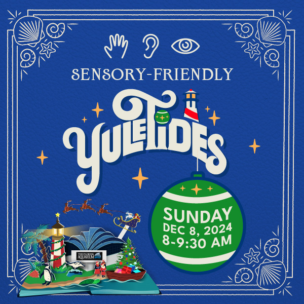 The Florida Aquarium Sensory Friendly YuleTides December 8 2024