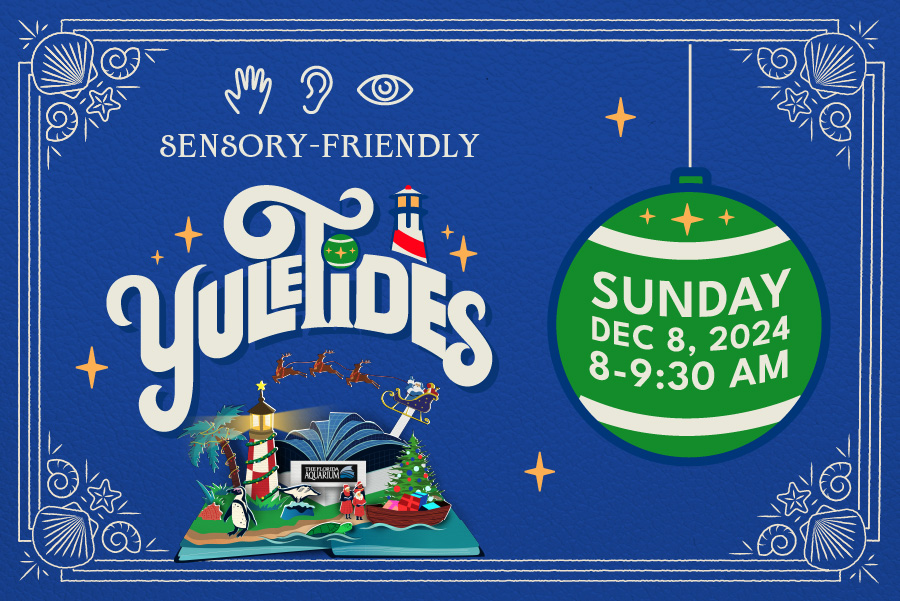 The Florida Aquarium Sensory Friendly YuleTides December 8 2024