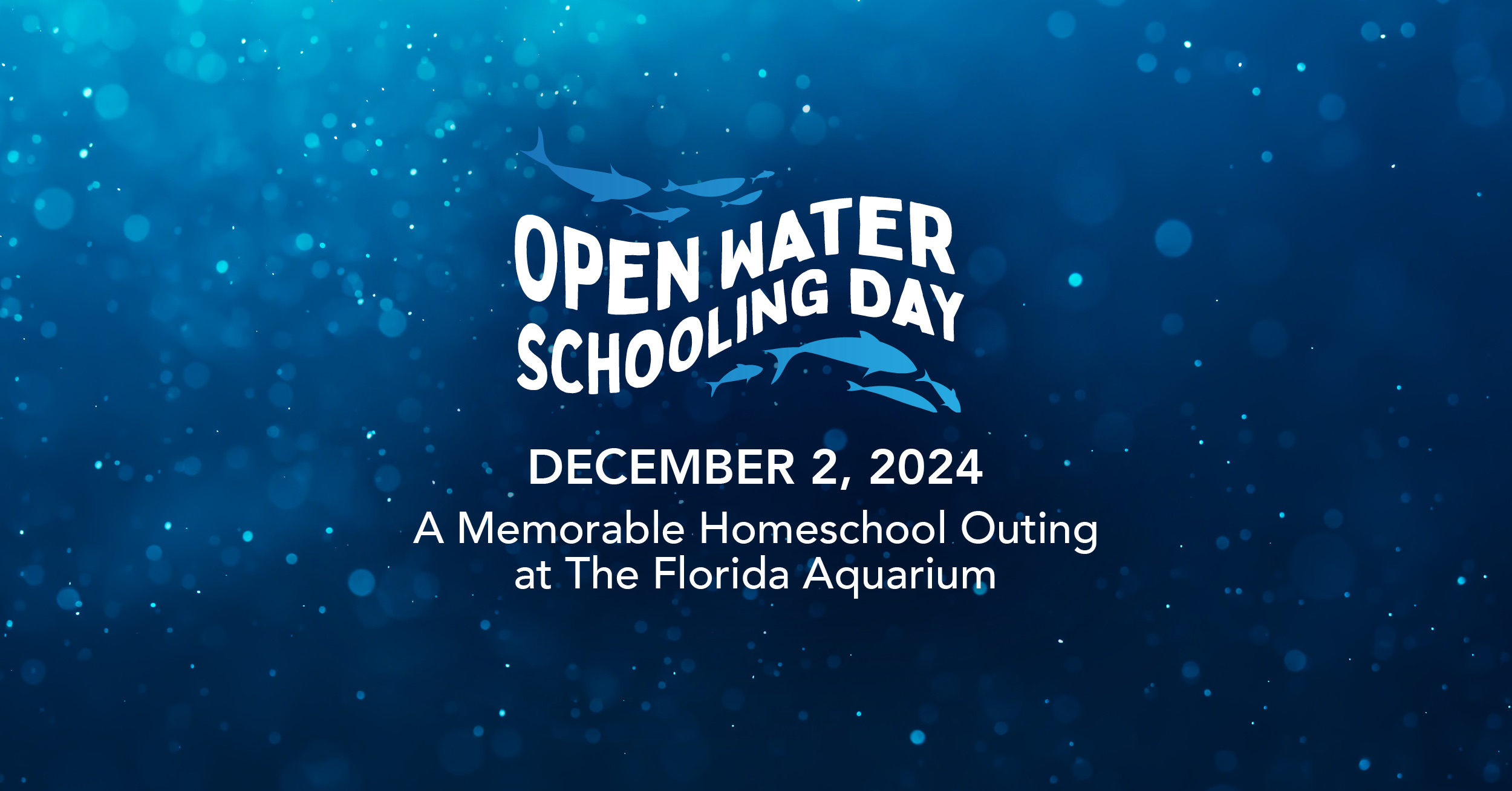 The Florida Aquarium_Homeschool Open Water Schooling Day 2024