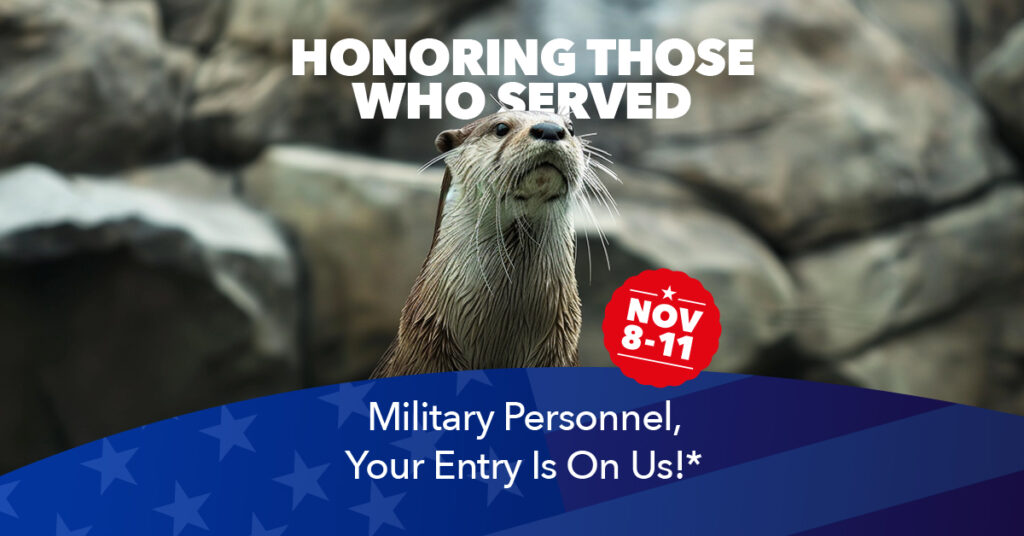 Veterans Appreciation Days Honoring Those Who Served Military Personnel* you entry is on us