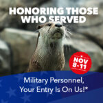 Veterans Appreciation Days Honoring Those Who Served Military Personnel* you entry is on us