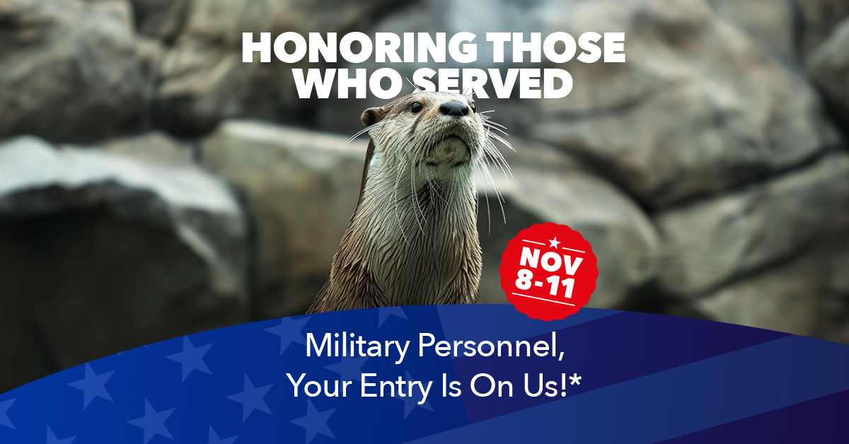 Veterans Appreciation Days Honoring Those Who Served Military Personnel* you entry is on us