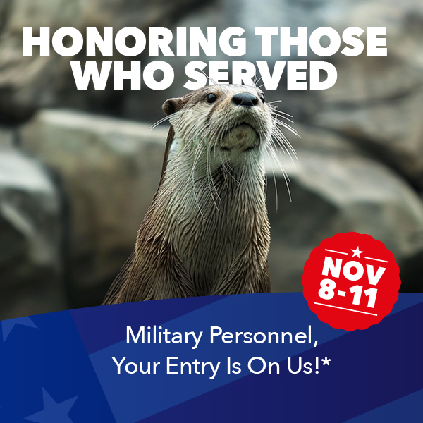 Veterans Appreciation Days Honoring Those Who Served Military Personnel* you entry is on us