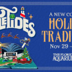 YuleTides-at-The-Florida-Aquarium-new-coastal-holiday-traditions-Nov.-29-2024-Jan.-5-2025