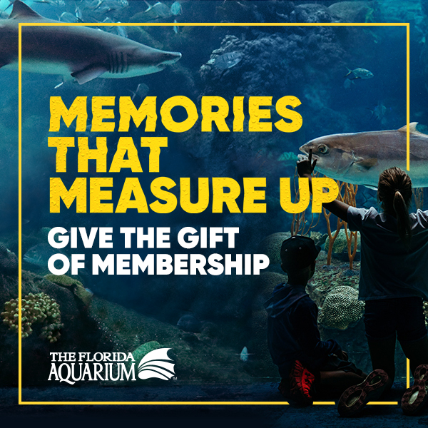 The Florida Aquarium Memories that Measure Up_Give the Gift of Membership