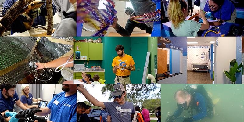 The Florida Aquarium 2024 year in review photos montage