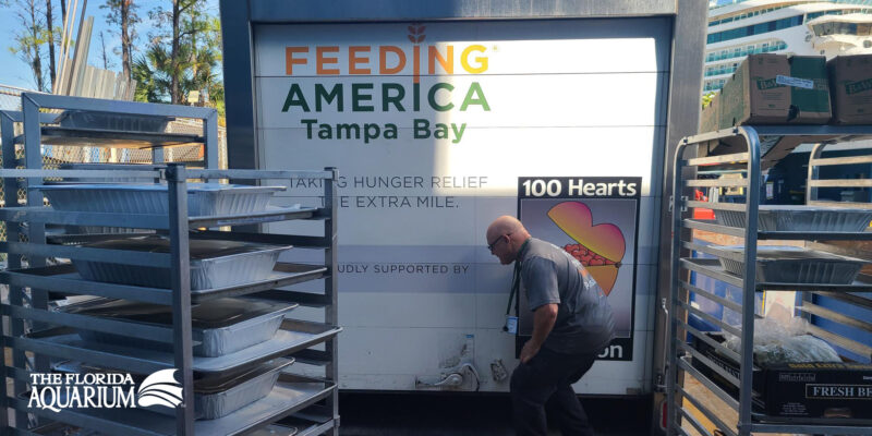 The Florida Aquarium Feeding Tampa Bay