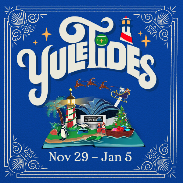 YuleTides at The Florida Aquarium a new coastal holiday tradition Nov. 29 2024-Jan. 5 2025