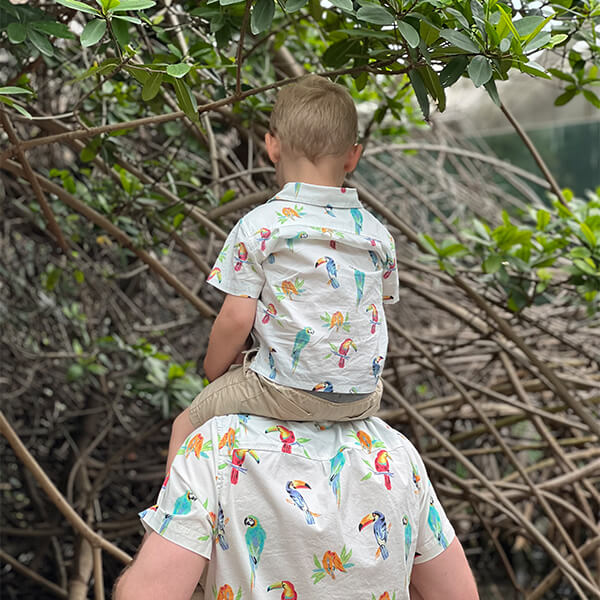 little boy on dads shoulders looking at mangroves in matching shirts