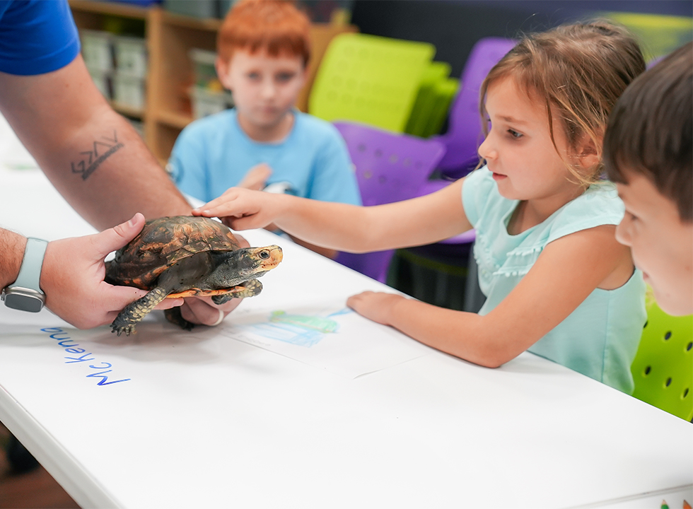 little girl touching a turtle at The Florida Aquarium camp