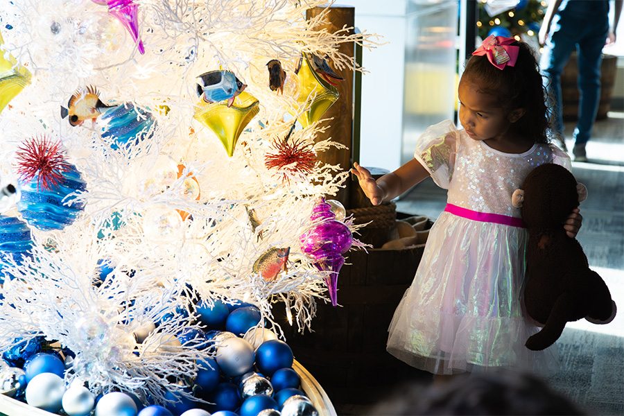 little girl touching coral reef tree during YuleTides at The Florida Aquarium_900x600