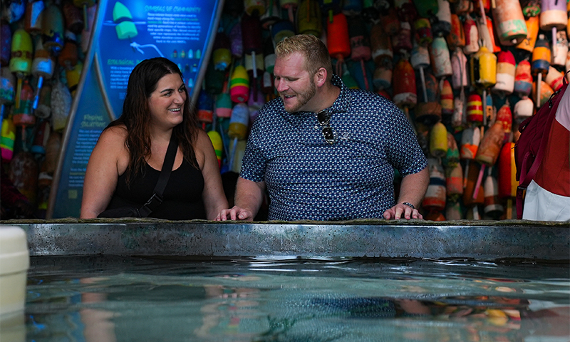 man and woman laughing at Stingray Beach at The Florida Aquarium