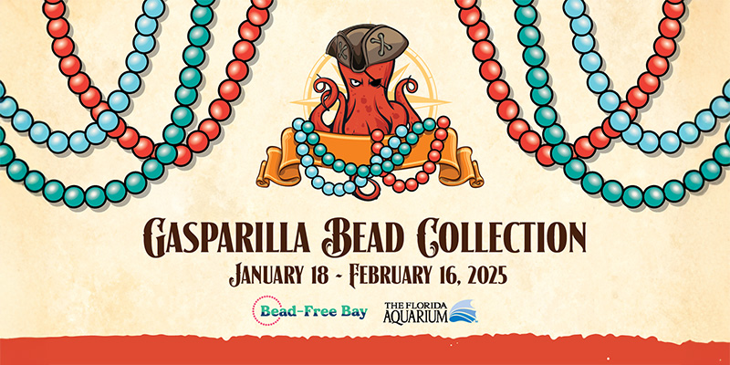 Gasparilla Bead Collection January 18-February 16 2025