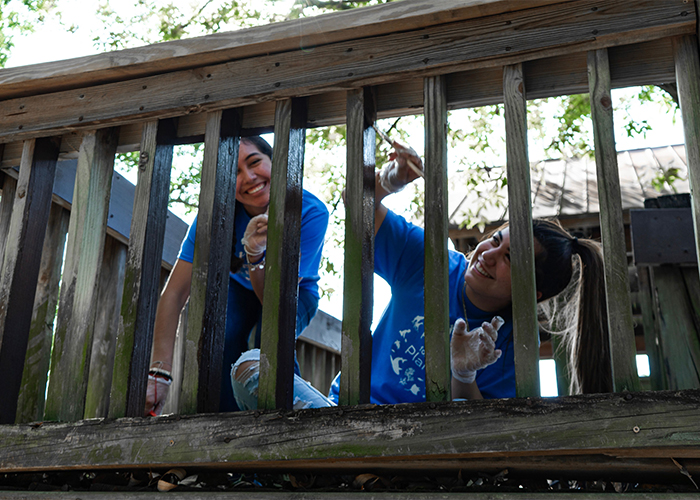 two_female_volunteers_painting_wood_staircase