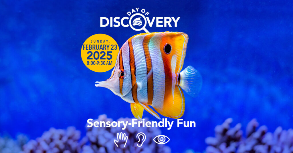 The Florida Aquarium Day of Discovery Sensory-Friendly Fun February 23 2025 8:00-9:30 AM