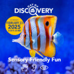 The Florida Aquarium Day of Discovery Sensory-Friendly Fun February 23 2025 8:00-9:30 AM