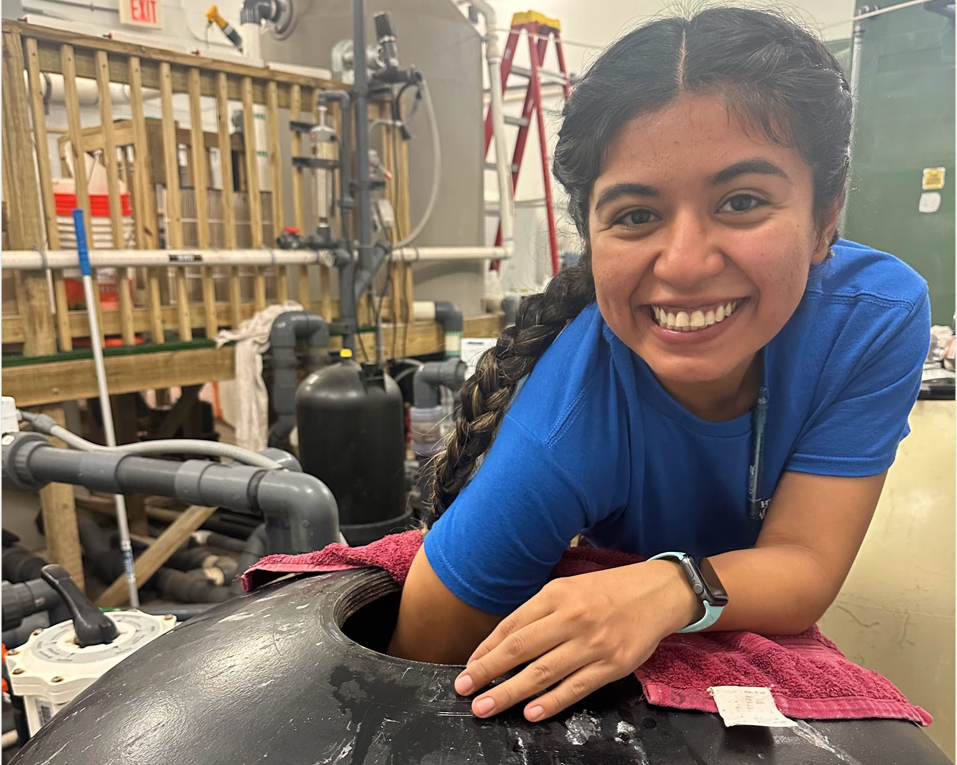 Female intern working in animal care at the Florida Aquarium