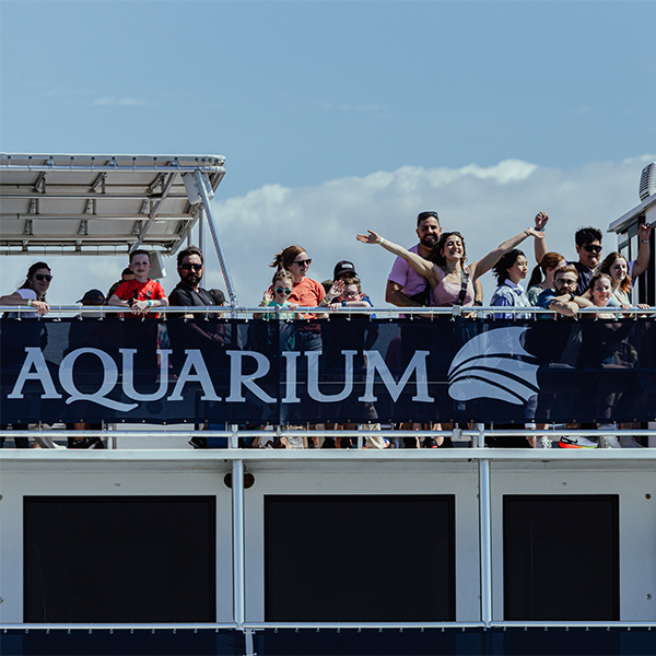 guests smiling aboard The Florida Aquarium's Wild Dolphin Cruise