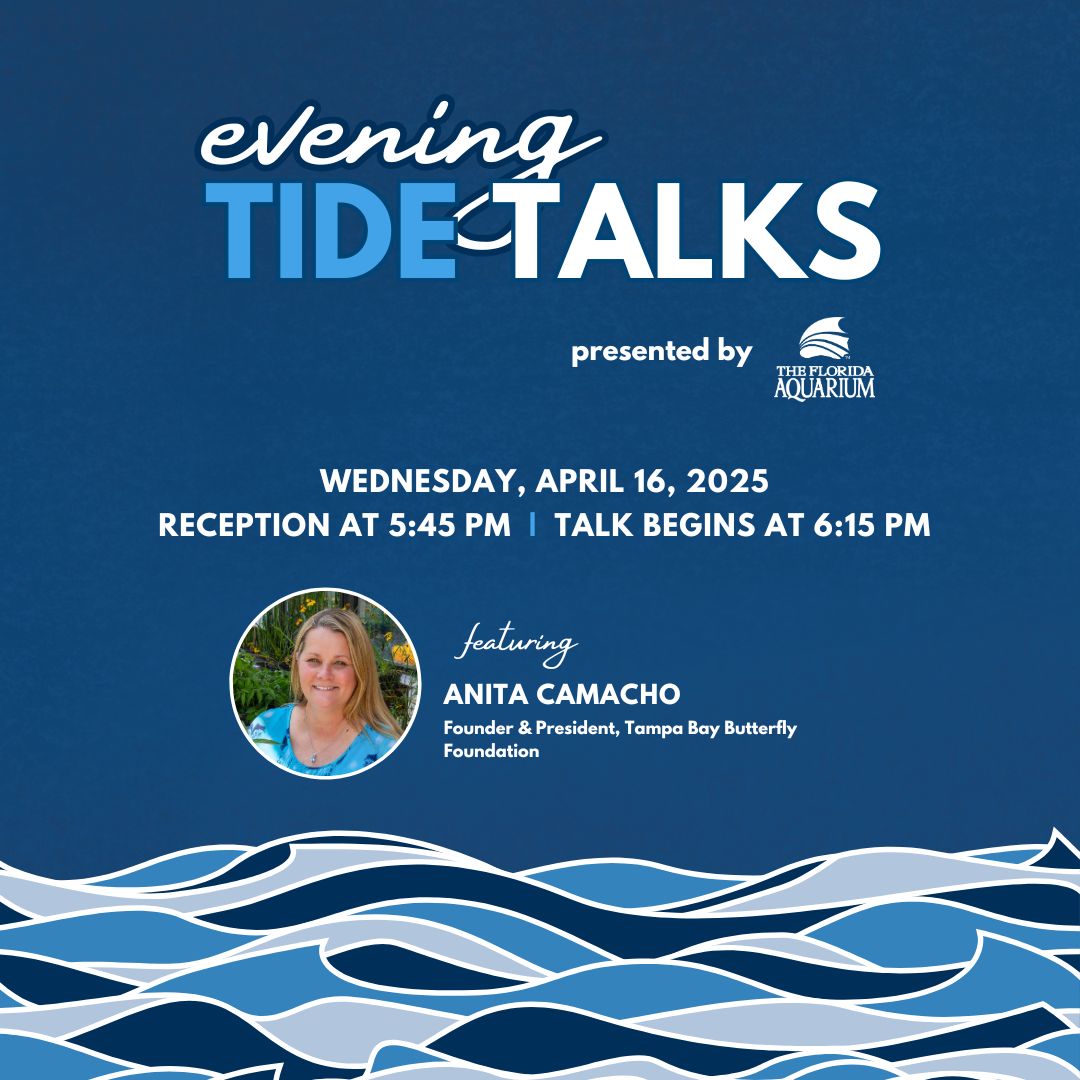 Evening Tide Talks with Anita Camacho