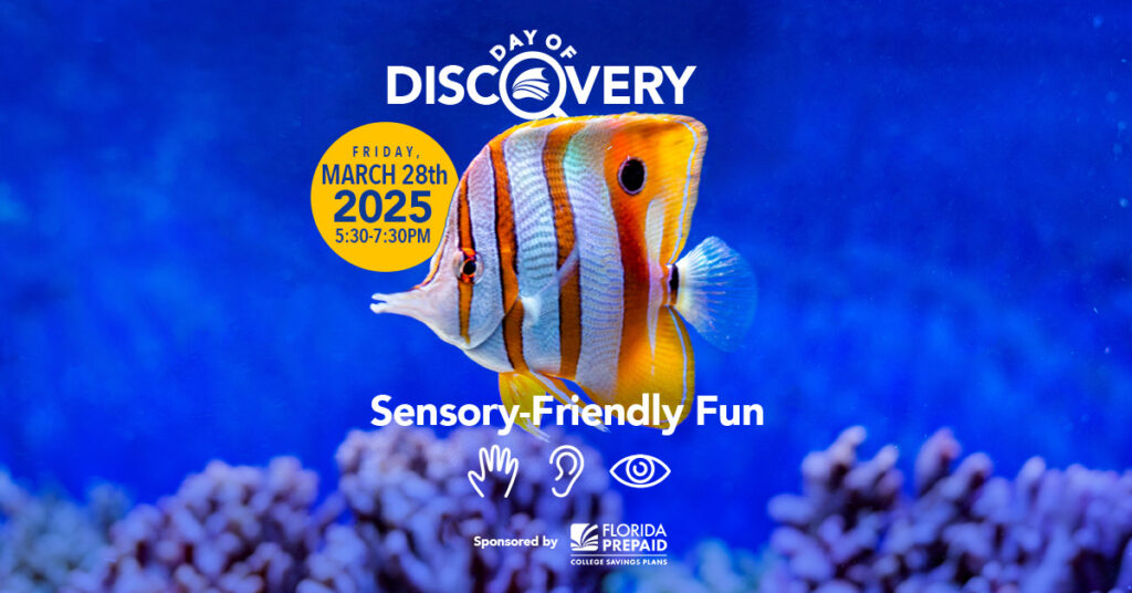 The Florida Aquarium Day of Discovery Sensory-Friendly Fun March 28th 2025 from 5:30-7:30PM