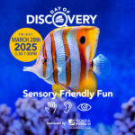 The Florida Aquarium Day of Discovery Sensory-Friendly Fun March 28th 2025 from 5:30-7:30PM