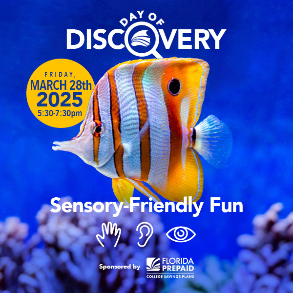 The Florida Aquarium Day of Discovery Sensory-Friendly Fun March 28th 2025 from 5:30-7:30PM