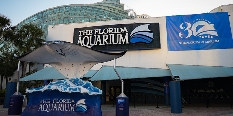 30th Anniversary at the Florida Aquarium